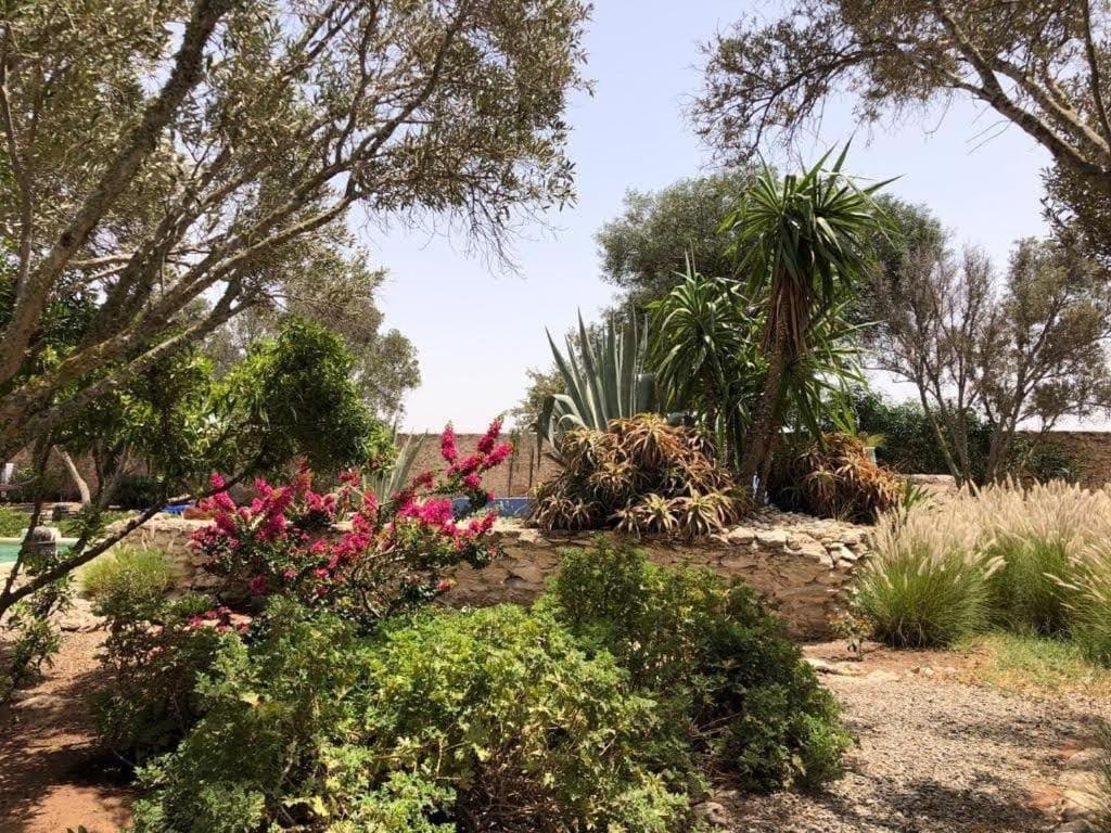 Les Jardins De Silona, Piscine Chauffee Essaouira Exterior foto