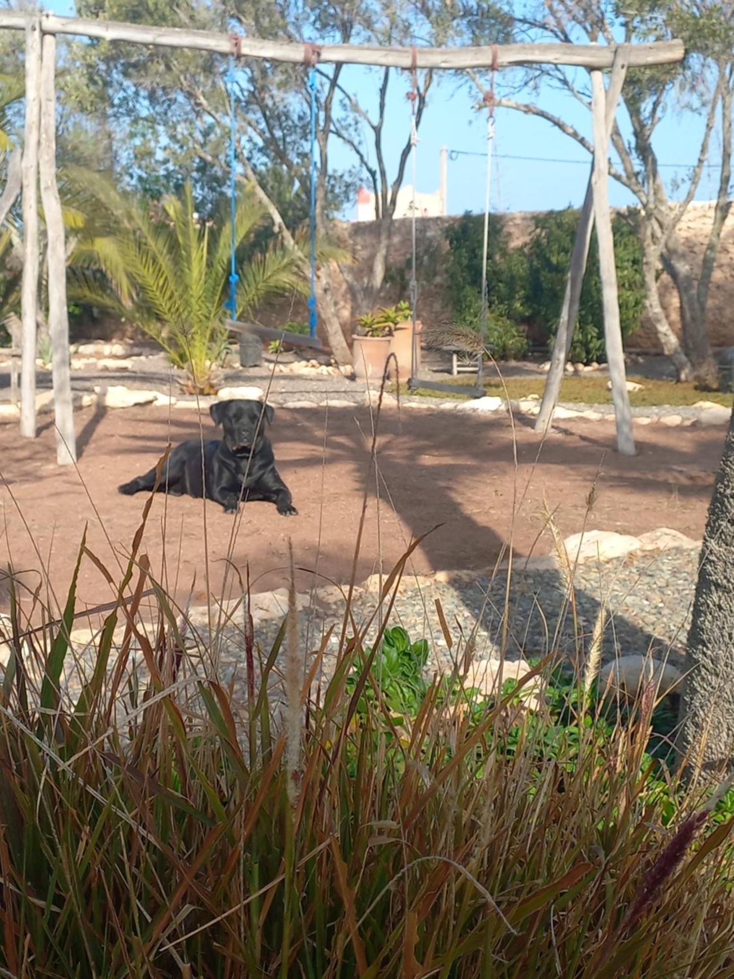 Les Jardins De Silona, Piscine Chauffee Essaouira Exterior foto