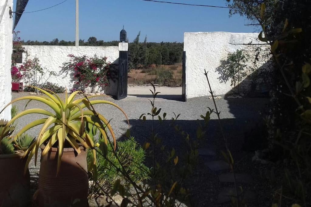 Les Jardins De Silona, Piscine Chauffee Essaouira Exterior foto
