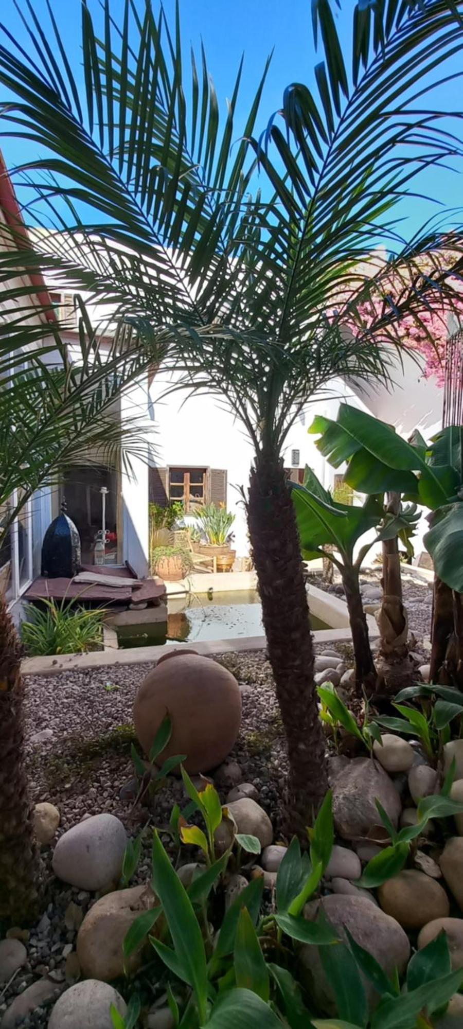 Les Jardins De Silona, Piscine Chauffee Essaouira Exterior foto